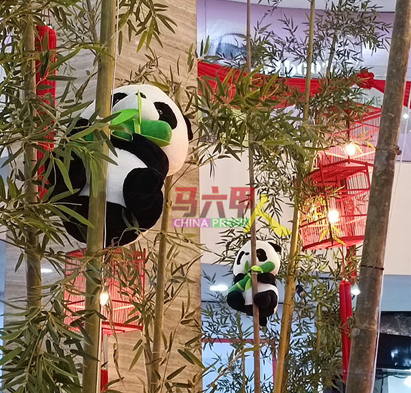 可爱的熊猫在烁．购物廊等你来欣赏。
