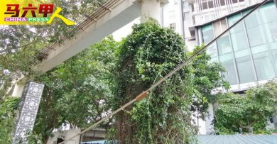 单轨火车轨道铜条掉落 险击中庙宇理事