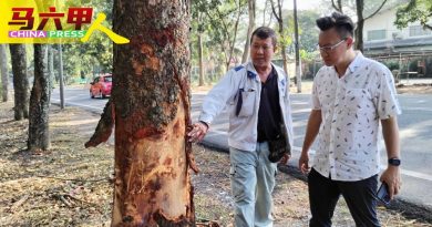 武吉南眉工业区  数灯柱被撞倒  藏危机