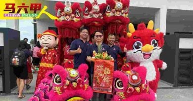 筑梦苑热销50%  NKS集团  庆元宵  好热闹