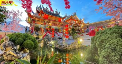 青龙宫年景布置  40尺长金龙  满满喜气