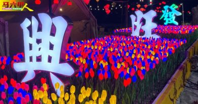 青山侯王庙年景亮灯  绚丽花海欢迎您