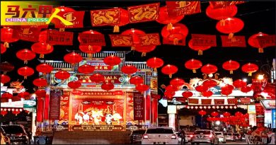 马六甲世遗老街  龙行龘龘  灯火迎春