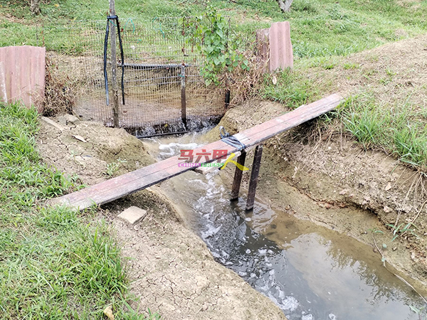 在林万锋向水利灌溉局投诉后，突然有水输入农田。