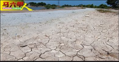 地面乾旱龟裂  池塘乾涸 快抢救  农作物