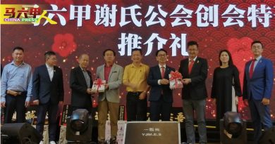 谢崇岳：华裔人口老化 影响华团发展