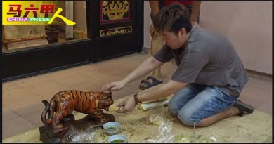 求贵人  避小人   拜虎爷好运一整年