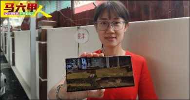 骆慧茹建议 办宣导讲座 饲主了解责任  才养狗