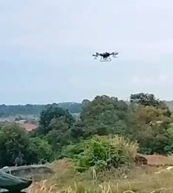 管理义山的华团组织出动无人机喷射除草剂，清理义山野草。（图诺希尔米提供）