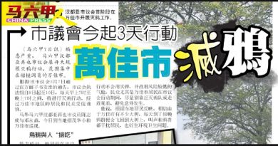 用枪只射杀乌鸦违法   动物维护组织促取消“大屠杀”