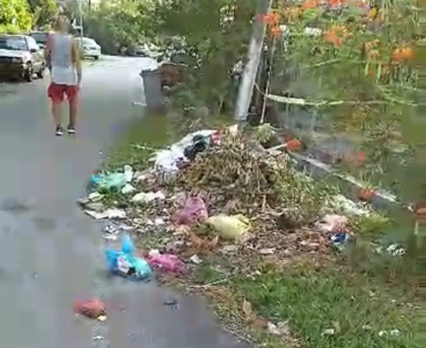 ■尼华纳花园第3路转角处经常被人非法堆积垃圾。