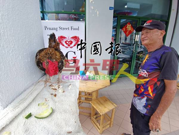 在外用餐的同时，吴氏也会安排食物给打架鸡享用。