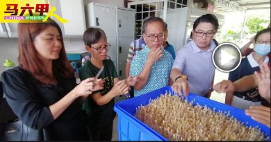 甲肯纳儿协会成功培植 具酵素与钙有机绿豆芽
