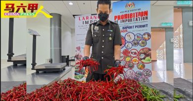 印尼访客无持进口准证 逾10KG新鲜辣椒 充公