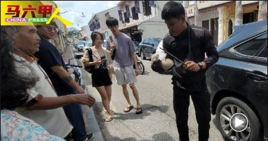 过路险被撞藏入车底 各族出手救小猫