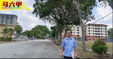 需定期评估树木安全 刘志俍：降低倒树风险