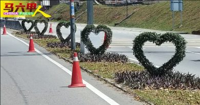 市政厅园艺小组不辞劳苦  为古城 打造美丽市容