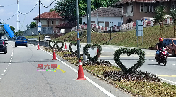 马六甲中央医院前路段路中安全岛植物，被裁剪为“心形”，让人眼前一亮。