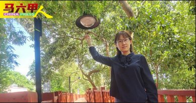 树林包围．灯常失灵 甲沿河人行道  昏暗