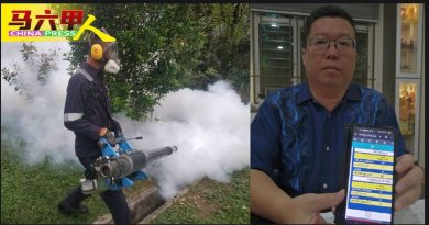 累积870宗蚊症 2死亡病例 清洁运动却少居民参与