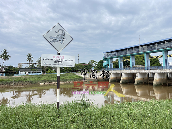 ■当局在吉里望河旁竖立“鳄鱼栖息地”告示牌，以提高民众警惕。