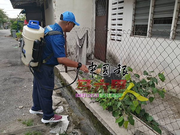 ■卫生局人员对着积水的野草和水沟，喷灭蚊剂。