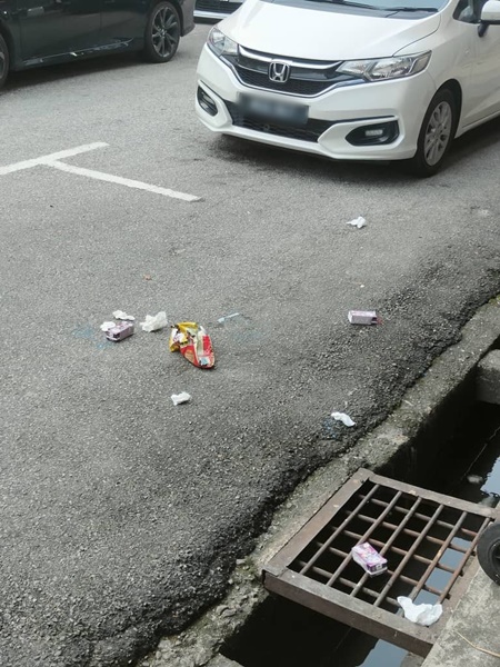 垃圾虫抵达后及离开前，将大量纸巾、零食包装及饮料包装，随手丢在甲市王金辉路路旁。