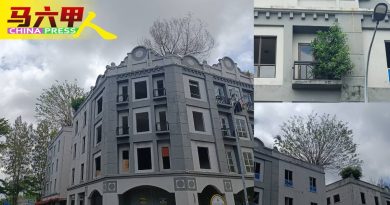 破坏建筑结构随时塌    甲市区也有“森林城市”