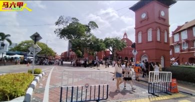 无车区政策吸引游客  首长：生意下滑属政党炒作