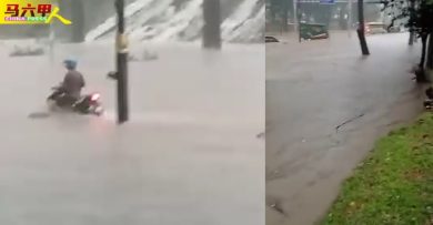 午后狂风暴雨 甲市多区淹水树倒  爱极乐10车受困