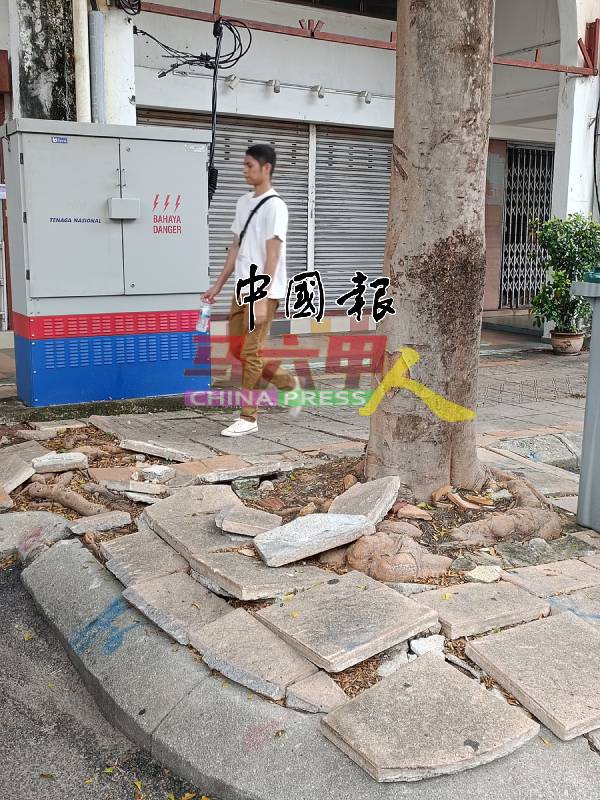 马六甲拉也许多道路的地砖因树根的破坏，对路人带来生命威胁。