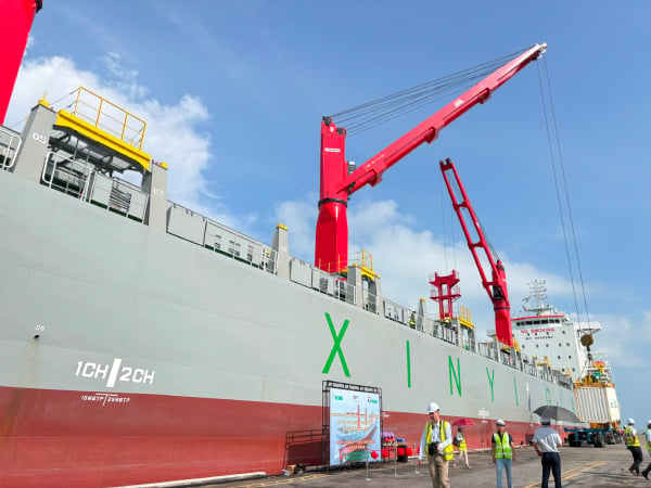 “MV Xinyi Glass”集装箱船长172公尺，计划每月停靠甲丹绒柏鲁斯码头两次。