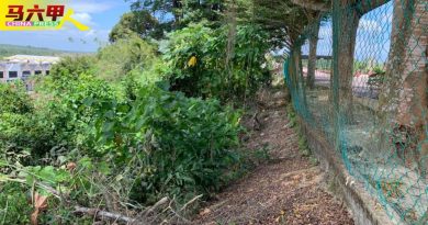 育贤校前山坡建筑护墙 尚需筹12万工程费