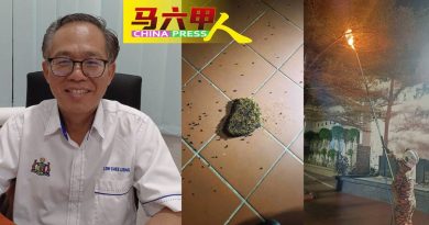 鸡场街公园蜂巢引担忧    消拯员受召捣毁