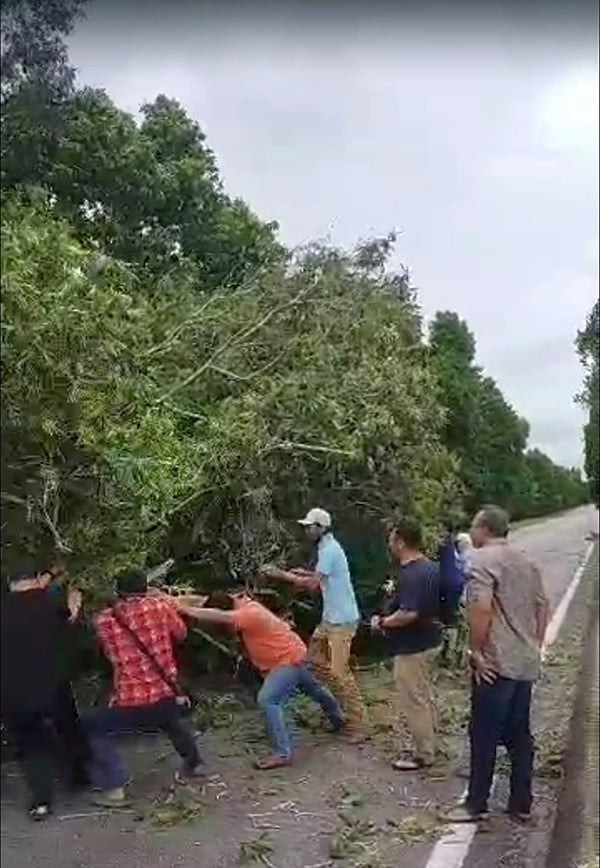 数名路过民众准备把大树推向路边。（图读者提供）