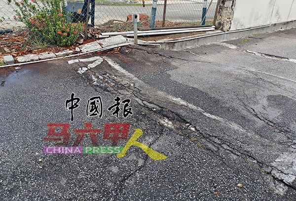 树根破坏马路设施，路面龟裂及高低不平。