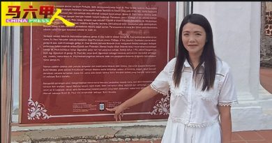 树身塞塑料瓶   草地留西瓜皮 圣保罗山现垃圾   破坏美观