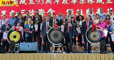 林福山：华裔人口比例继续下降  吁年轻人结婚生子 免断层