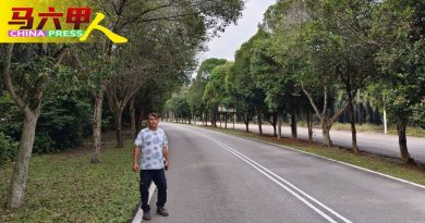 阿依沙叻新村要道树木茂盛 市政厅受促尽速修剪
