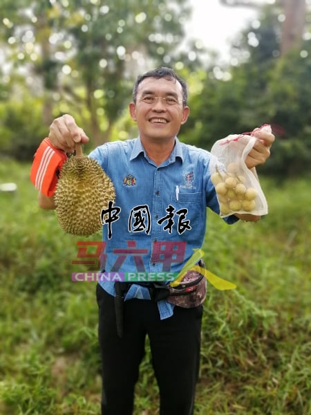 黄和平对自己种植的水果有收成，都会感到特别开心。