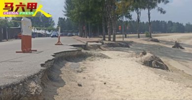 道路坍塌树根外露 吉里望海滩 严重海蚀