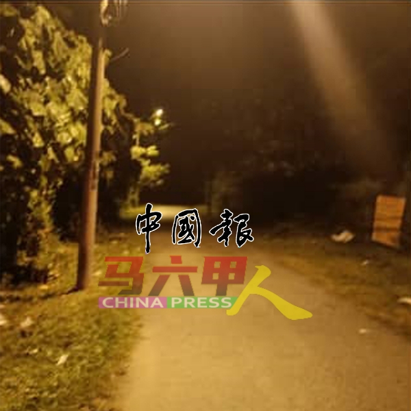 牛只疑似失踪地点。