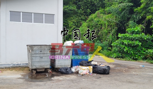 环境卫生欠佳,是引来鼠患的主因之一。