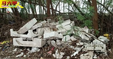 商业中心后巷卫生糟糕   垃圾 遍布  草堆