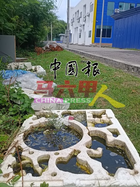 KPKS 4路后巷草堆，也有许多垃圾堆积及积水，担心引发蚊症。