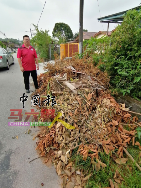 邓永森巡视弃在路边树木和花草。