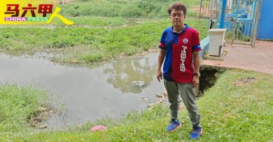 水闸门野草垃圾堆积 排水受阻   或导致水灾