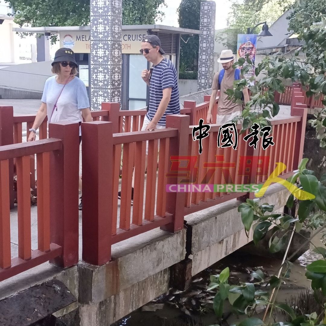 沿河走道是游客欣赏生态景点的打卡地，不时有游客来打卡。