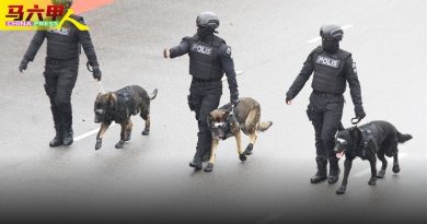 遊行制服队伍威风凛凛    全场轰动 警犬戴上墨镜   好酷啊！