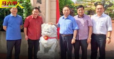 中方赠仿恭王府石狮 鸡场街工委会获国家级大礼